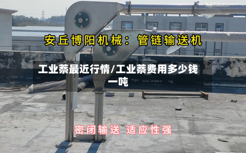 工业萘最近行情/工业萘费用多少钱一吨