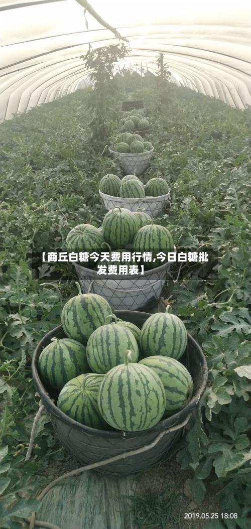 【商丘白糖今天费用行情,今日白糖批发费用表】-第2张图片