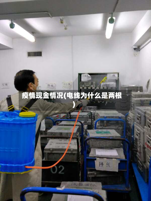 疫情现金情况(电线为什么是两根)-第2张图片