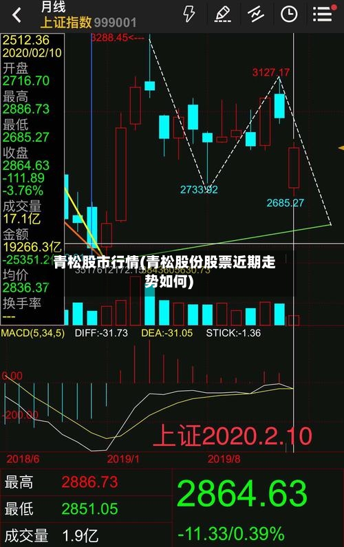 青松股市行情(青松股份股票近期走势如何)-第2张图片