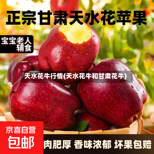 天水花牛行情(天水花牛和甘肃花牛)-第2张图片