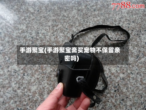手游聚宝(手游聚宝斋买宠物不保留亲密吗)-第2张图片