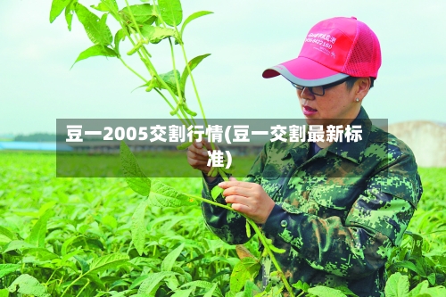 豆一2005交割行情(豆一交割最新标准)-第3张图片
