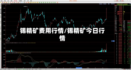 锡精矿费用行情/锡精矿今日行情-第2张图片