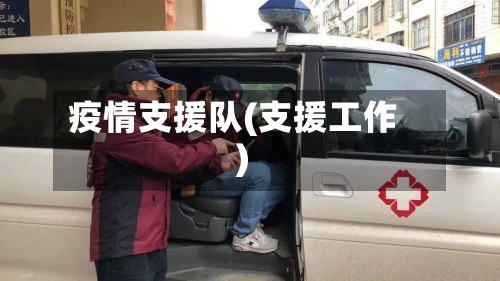 疫情支援队(支援工作)