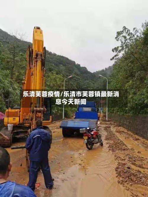 乐清芙蓉疫情/乐清市芙蓉镇最新消息今天新闻-第3张图片
