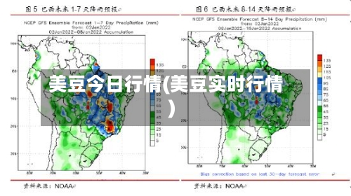 美豆今日行情(美豆实时行情)