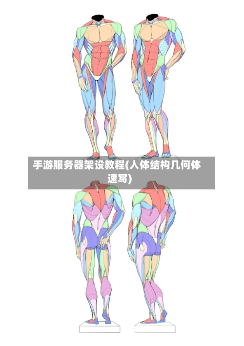 手游服务器架设教程(人体结构几何体速写)-第3张图片