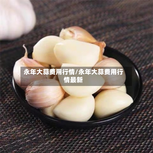 永年大蒜费用行情/永年大蒜费用行情最新