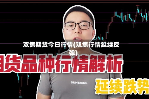 双焦期货今日行情(双焦行情延续反弹)-第2张图片