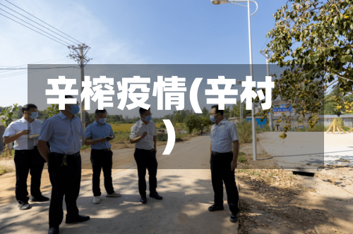 辛榨疫情(辛村)-第3张图片