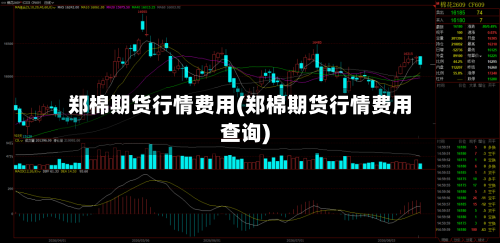 郑棉期货行情费用(郑棉期货行情费用查询)