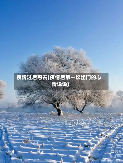 疫情过后想去(疫情后第一次出门的心情说说)