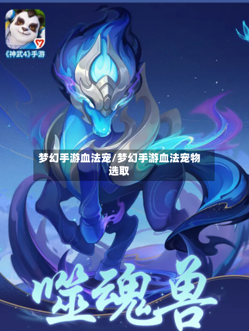 梦幻手游血法宠/梦幻手游血法宠物选取