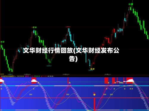 文华财经行情回放(文华财经发布公告)-第2张图片