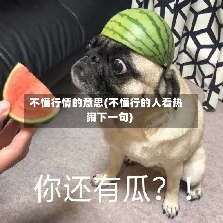 不懂行情的意思(不懂行的人看热闹下一句)
