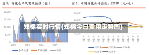 郑棉实时行情(郑棉今日费用走势图)