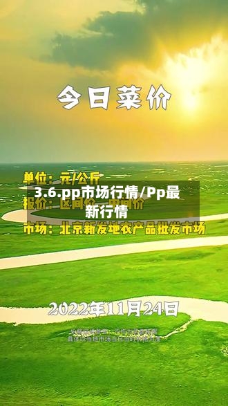 3.6.pp市场行情/Pp最新行情-第2张图片