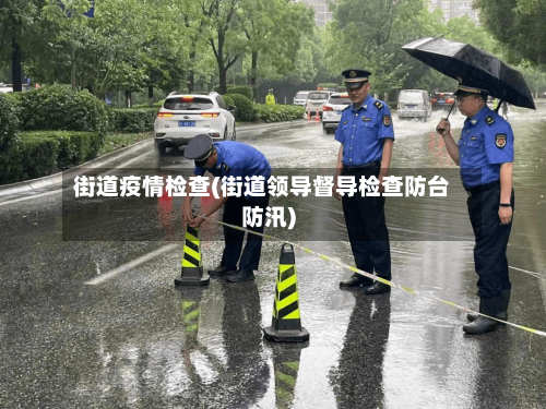 街道疫情检查(街道领导督导检查防台防汛)-第2张图片