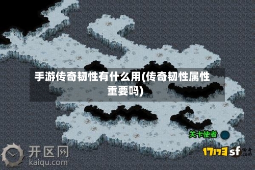 手游传奇韧性有什么用(传奇韧性属性重要吗)-第3张图片