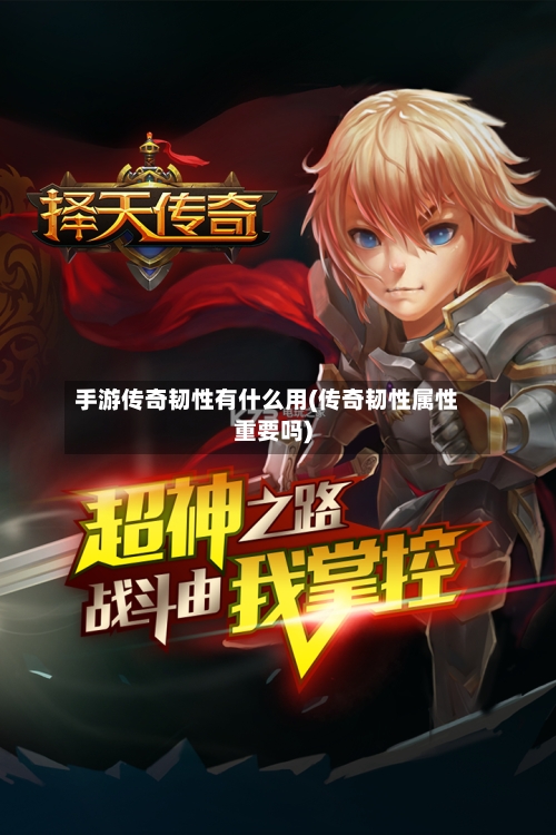 手游传奇韧性有什么用(传奇韧性属性重要吗)