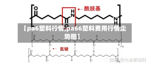 【pa6塑料行情,pa66塑料费用行情走势图】-第2张图片
