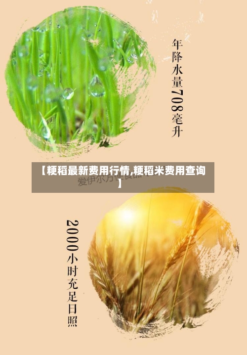 【粳稻最新费用行情,粳稻米费用查询】