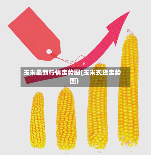 玉米最新行情走势图(玉米现货走势图)