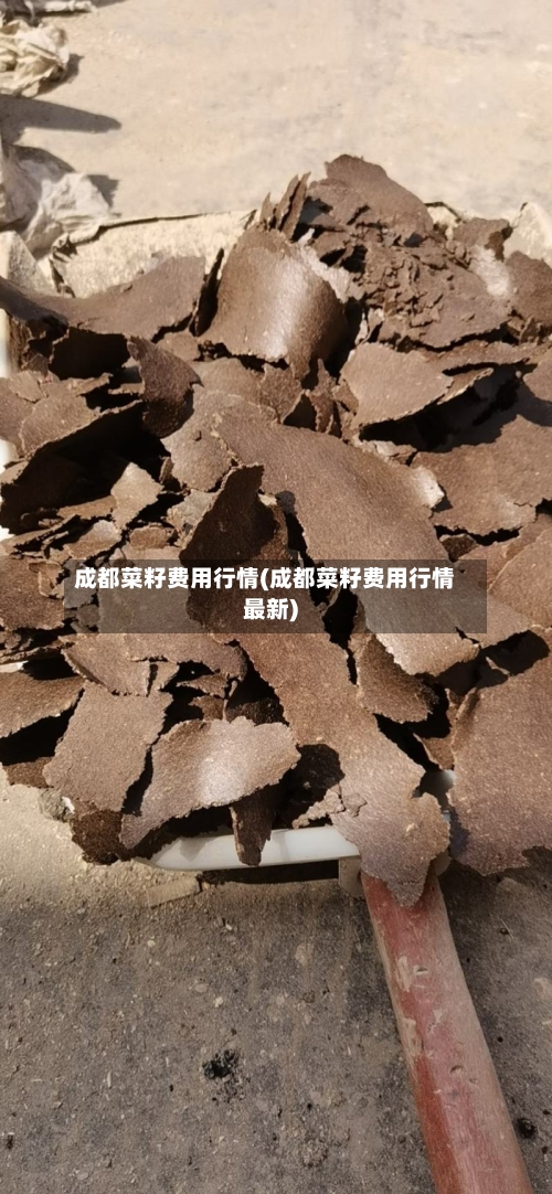 成都菜籽费用行情(成都菜籽费用行情最新)