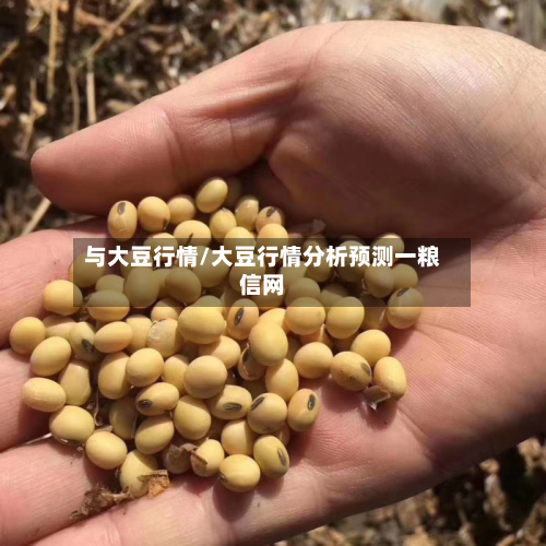 与大豆行情/大豆行情分析预测一粮信网-第2张图片