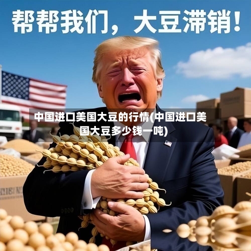 中国进口美国大豆的行情(中国进口美国大豆多少钱一吨)-第2张图片