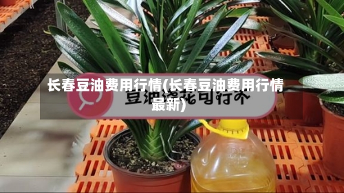 长春豆油费用行情(长春豆油费用行情最新)
