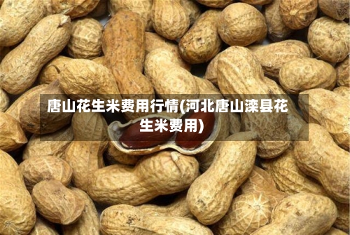 唐山花生米费用行情(河北唐山滦县花生米费用)