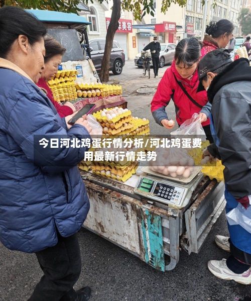 今日河北鸡蛋行情分析/河北鸡蛋费用最新行情走势-第2张图片