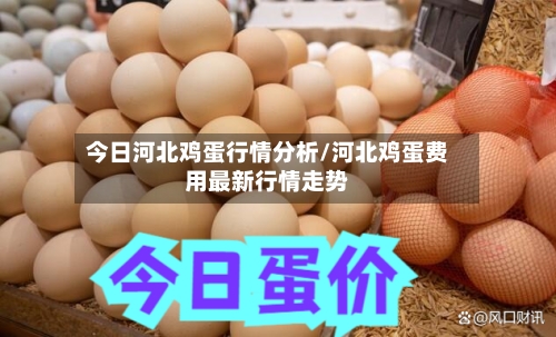 今日河北鸡蛋行情分析/河北鸡蛋费用最新行情走势