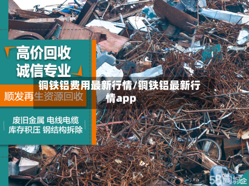 铜铁铝费用最新行情/铜铁铝最新行情app-第2张图片