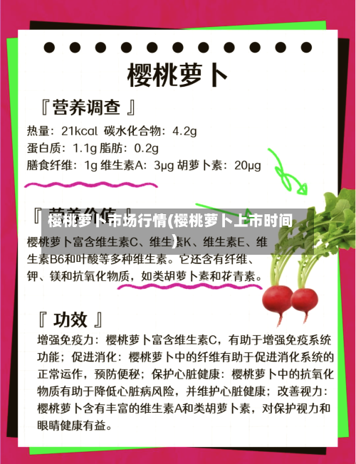 樱桃萝卜市场行情(樱桃萝卜上市时间)-第2张图片