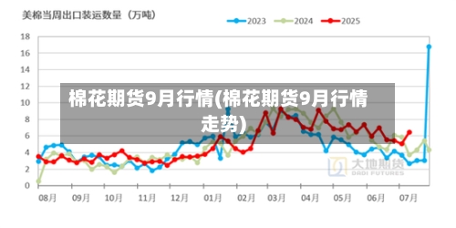 棉花期货9月行情(棉花期货9月行情走势)-第3张图片