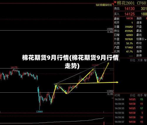 棉花期货9月行情(棉花期货9月行情走势)-第2张图片