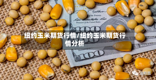 纽约玉米期货行情/纽约玉米期货行情分析