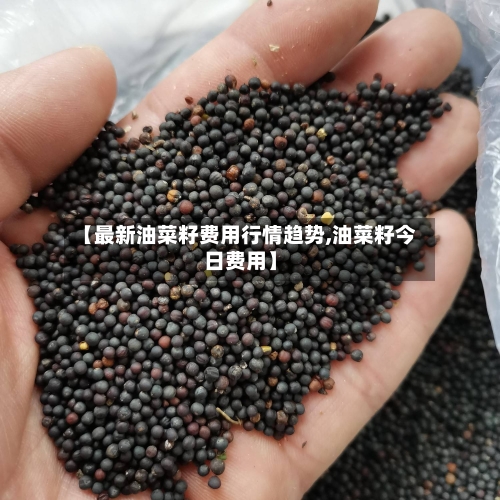 【最新油菜籽费用行情趋势,油菜籽今日费用】-第2张图片