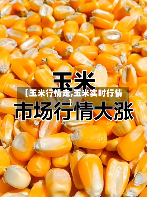 【玉米行情走,玉米实时行情】-第2张图片