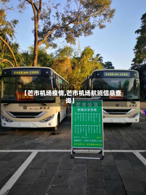 【芒市机场疫情,芒市机场航班信息查询】