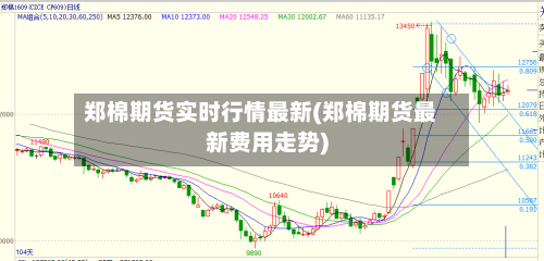 郑棉期货实时行情最新(郑棉期货最新费用走势)-第2张图片