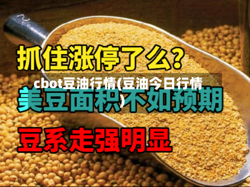 cbot豆油行情(豆油今日行情)