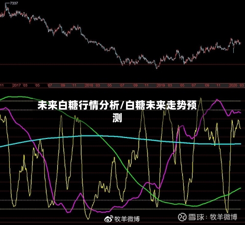 未来白糖行情分析/白糖未来走势预测