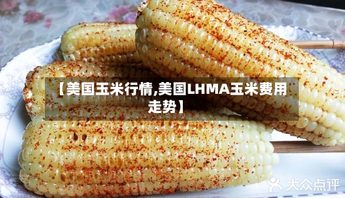 【美国玉米行情,美国LHMA玉米费用走势】