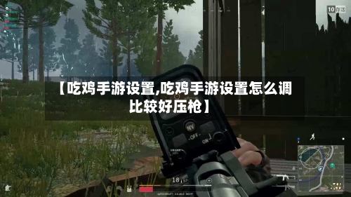 【吃鸡手游设置,吃鸡手游设置怎么调比较好压枪】