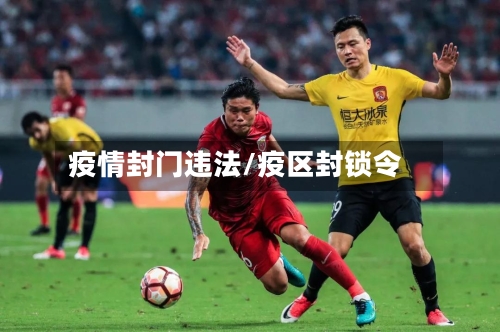 疫情封门违法/疫区封锁令-第2张图片