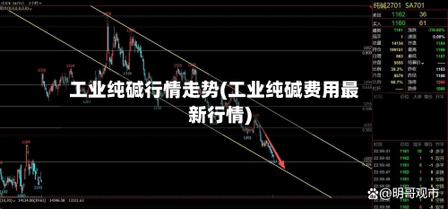 工业纯碱行情走势(工业纯碱费用最新行情)-第3张图片